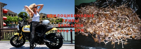 спайс Лагань