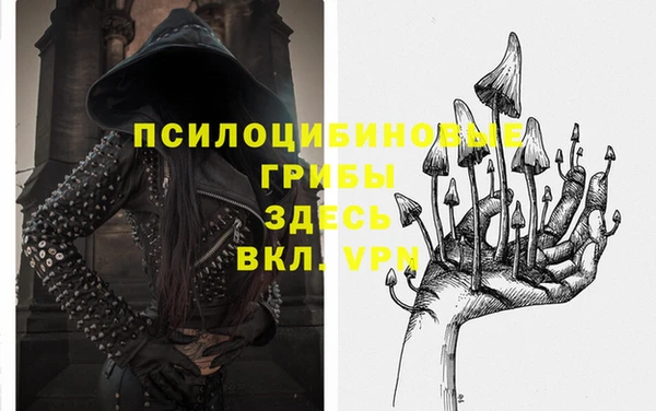 спайс Лагань