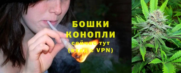 не бодяженный Лабытнанги