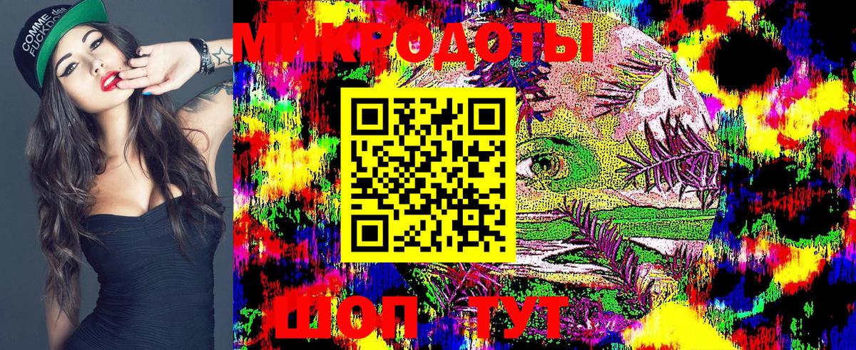 Туапсе  Галлюциногенные грибы Psilocybine cubensis  Вход с VPN 